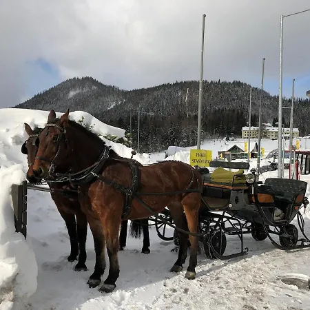 25m2 Cosy In Alter Am *